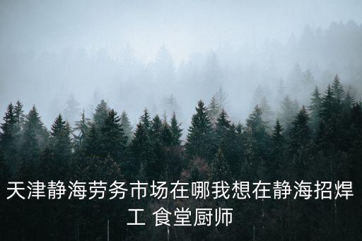 天津靜海勞務市場在哪我想在靜海招焊工 食堂廚師