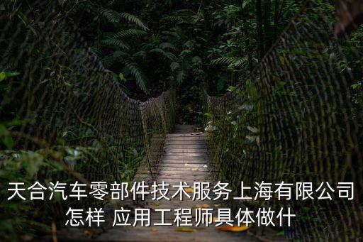 天合汽車零部件技術服務上海有限公司怎樣 應用工程師具體做什