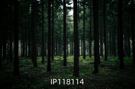 IP118114