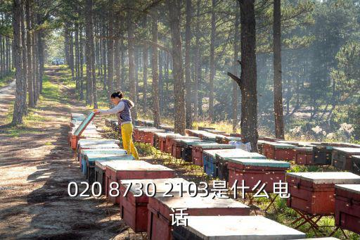 020 8730 2103是什么電話