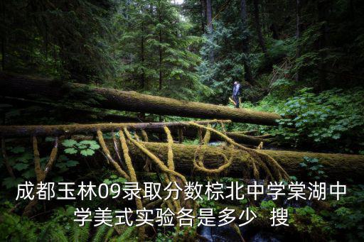 成都玉林09錄取分?jǐn)?shù)棕北中學(xué)棠湖中學(xué)美式實(shí)驗(yàn)各是多少  搜