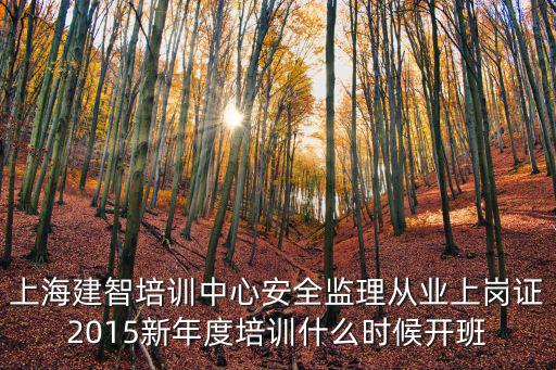 上海建智培訓中心安全監(jiān)理從業(yè)上崗證2015新年度培訓什么時候開班