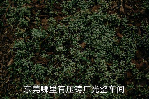 東莞哪里有壓鑄廠光整車間