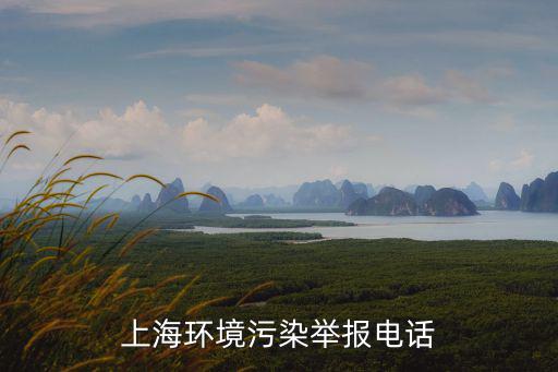 上海環(huán)境污染舉報電話