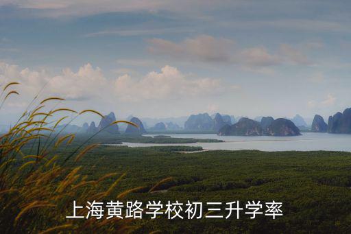 上海黃路學(xué)校初三升學(xué)率