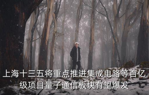 上海十三五將重點推進集成電路等百億級項目量子通信板塊有望爆發