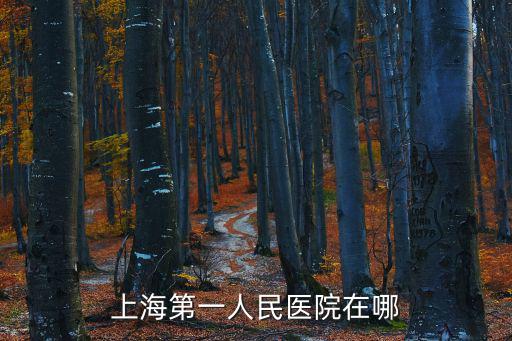 上海第一人民醫(yī)院在哪