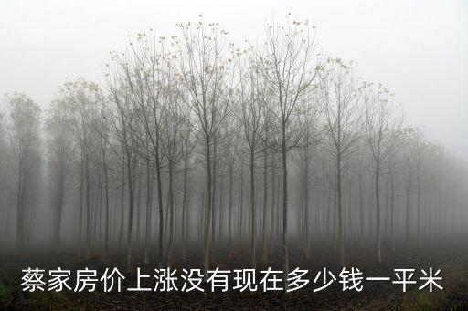 蔡家房?jī)r(jià)上漲沒有現(xiàn)在多少錢一平米