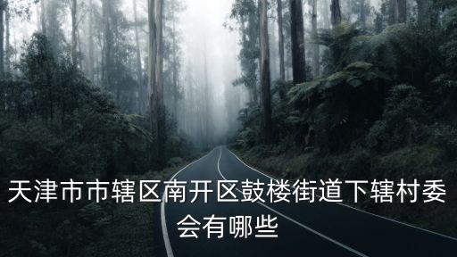 天津市南開區德鄰里居委會，天津市市轄區南開區華苑街道下轄村委會有哪些
