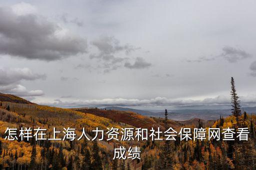 怎樣在上海人力資源和社會保障網查看成績