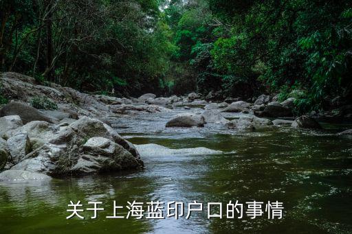 98年上海市藍印戶口，錯過當時辦理上海藍印戶口時機現在是否可以申請補辦