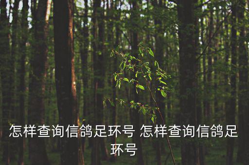 怎樣查詢信鴿足環號 怎樣查詢信鴿足環號
