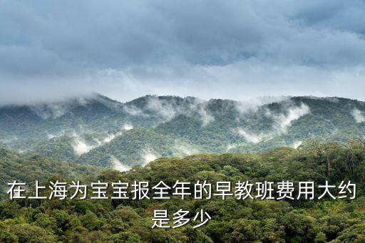 在上海為寶寶報全年的早教班費用大約是多少