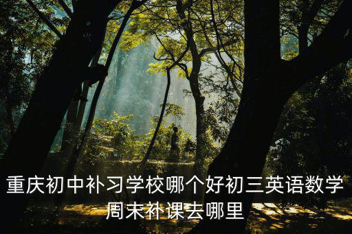 重慶初中補(bǔ)習(xí)學(xué)校哪個(gè)好初三英語(yǔ)數(shù)學(xué)周末補(bǔ)課去哪里