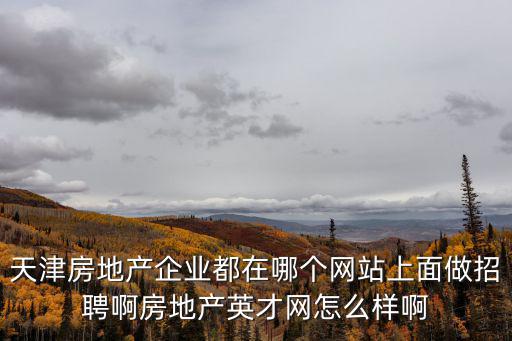 天津房地產(chǎn)企業(yè)都在哪個網(wǎng)站上面做招聘啊房地產(chǎn)英才網(wǎng)怎么樣啊