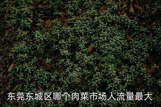 東莞羅沙市場(chǎng)早餐，東莞的早餐主要是那些