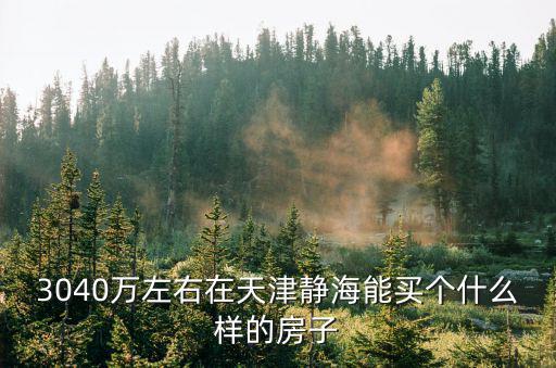 3040萬左右在天津靜海能買個什么樣的房子
