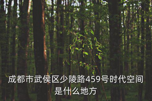 成都市武侯區龍江河小區，四川省成都市武侯區武侯祠大街89號3棟叫什么小區