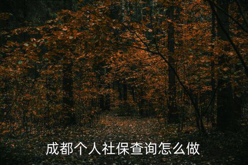 成都個人社保查詢怎么做