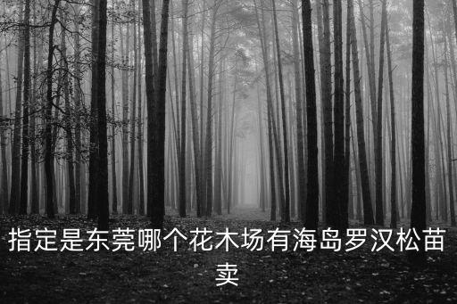 指定是東莞哪個花木場有海島羅漢松苗賣