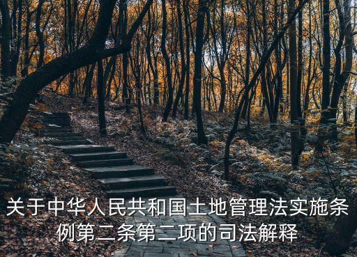 關(guān)于中華人民共和國土地管理法實施條例第二條第二項的司法解釋