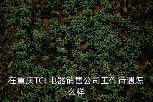 在重慶TCL電器銷售公司工作待遇怎么樣