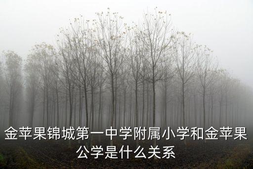 金蘋果錦城第一中學附屬小學和金蘋果公學是什么關系