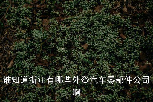 誰知道浙江有哪些外資汽車零部件公司啊