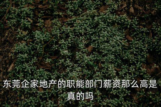 東莞企家地產的職能部門薪資那么高是真的嗎