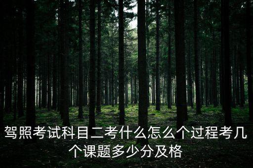 上海市駕考理論課題，考駕照的課題有哪些