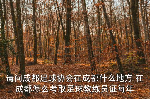 成都市足協(xié)屬于，成都足球協(xié)會的官方網(wǎng)站的網(wǎng)址是什么