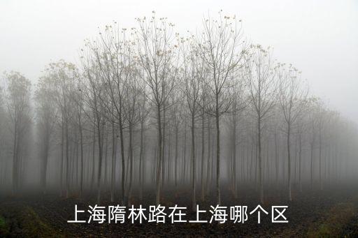 上海市柳林路，上海隋林路在上海哪個區