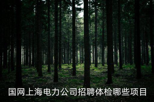 國網上海電力公司招聘體檢哪些項目