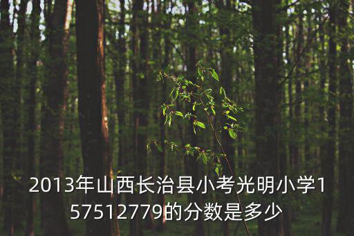 天津市河北區(qū)光明小學(xué)桑鳳華，2013年山西長治縣小考光明小學(xué)157512779的分數(shù)是多少