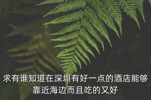 求有誰知道在深圳有好一點的酒店能夠靠近海邊而且吃的又好