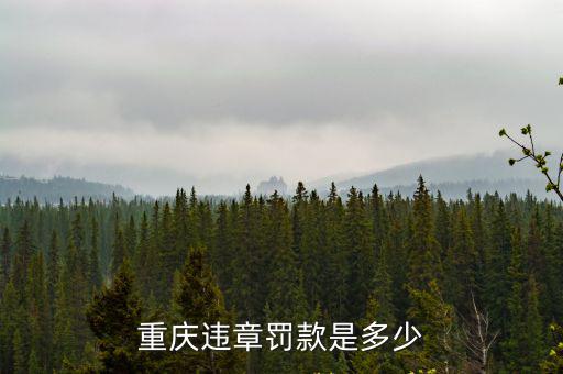 重慶違章罰款是多少