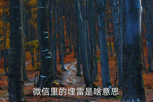 微信里的埋雷是啥意思