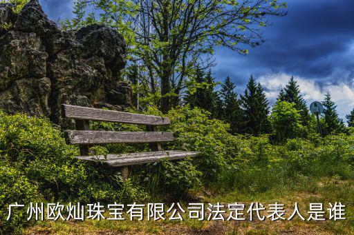 廣州歐燦珠寶有限公司法定代表人是誰