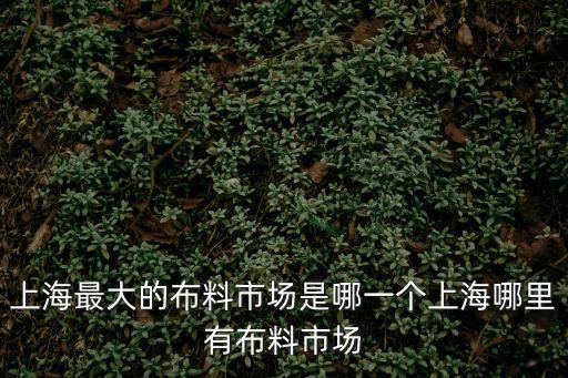 上海最大的布料市場(chǎng)是哪一個(gè)上海哪里有布料市場(chǎng)