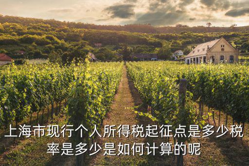 上海市現(xiàn)行個人所得稅起征點是多少稅率是多少是如何計算的呢