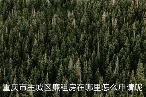 重慶市石柱申請廉租房在哪里問，你好 麻煩問哈重慶石柱廉租房怎么查有沒有我