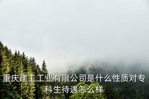 重慶建工工業(yè)有限公司是什么性質(zhì)對專科生待遇怎么樣