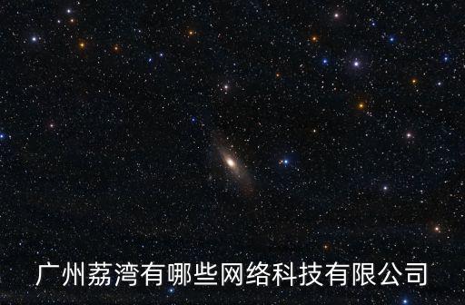廣州荔灣有哪些網(wǎng)絡(luò)科技有限公司