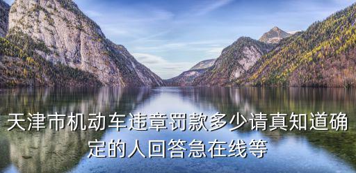 天津市機動車違章罰款多少請真知道確定的人回答急在線等