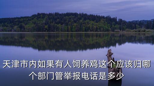天津市南開區(qū)市容和園林管理委員會電話，急需天津園林局和天津南開園林局的電話