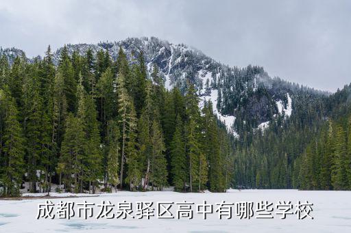 成都市龍泉外國語學(xué)校師資，巴中龍泉外國語學(xué)校是一個什么類型的學(xué)校