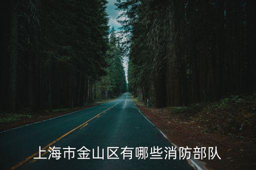 上海市金山區有哪些消防部隊