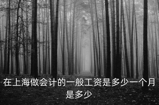在上海做會計的一般工資是多少一個月是多少