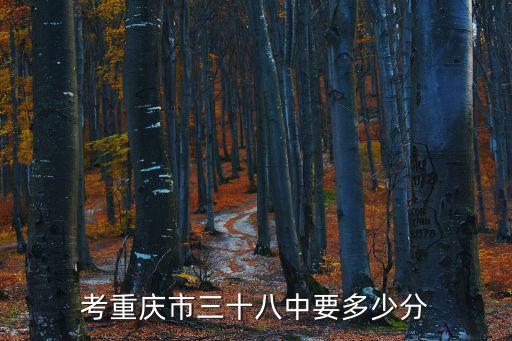 考重慶市三十八中要多少分