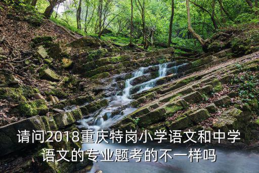 請問2018重慶特崗小學語文和中學語文的專業(yè)題考的不一樣嗎